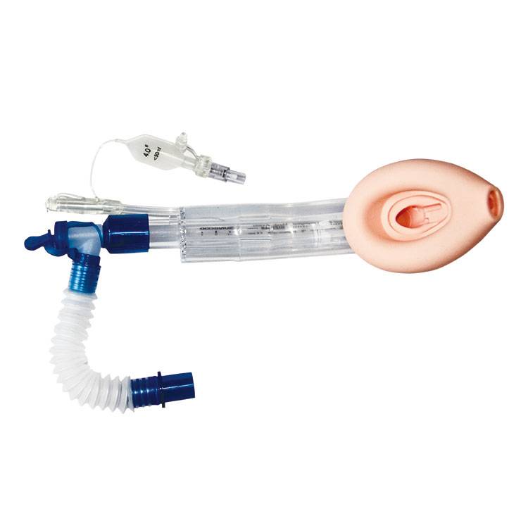 Special Laryngeal Mask Airway For Bronchoscopy Treatment